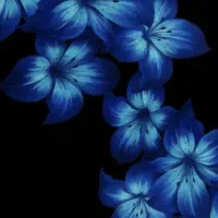 گمشده فروش وام مهربانی