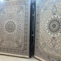 فرش پارمیس|فرش|زنجان, |دیوار
