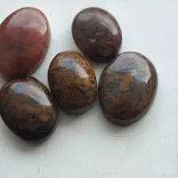 شجر پایزه|جواهرات|قائن, |دیوار