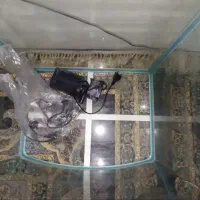 آکواریوم شرکتی|ماهی|مرودشت, فاز دوم شهرک فرهنگیان|دیوار