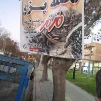 کارگاه تخمه پزی مزمز|کافیشاپ و رستوران|نقده, |دیوار