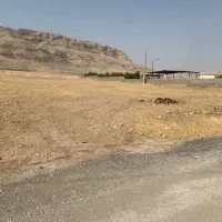 زمین کشاورزی