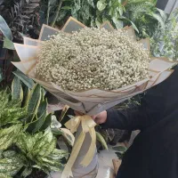 دسته گل ژیپسوفیلیا بابهترین قیمت باورنکردنی