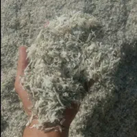 تفاله چغندر