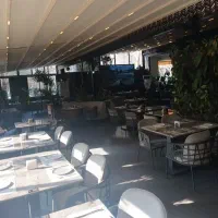 گریل کار سالاد زن