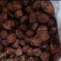 آلوچه خشک وآلو خشک شابلونی هسته جدا وهسته زردالو