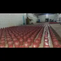 مرکز تولید و پخش رب گوجه شیره انگور و خرما|عمدهفروشی|خرمآباد, |دیوار