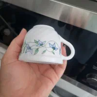 بشقاب گلسرخ|ظروف سرو و پذیرایی|شیراز, شهرک کوثر|دیوار