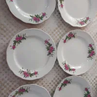 بشقاب گل محمدی چینی استفاده نشده