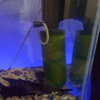 آکواریوم با وسایل جانبی|ماهی|فردیس, فردیس|دیوار