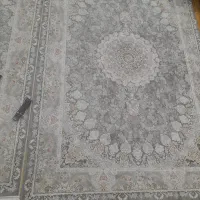 فرش۱۲۰۰شانه|فرش|زنجان, |دیوار