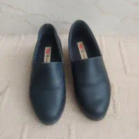 نیم بوت|کیف، کفش، کمربند|کرمان, |دیوار