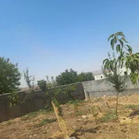معاوضه خانه ویلا با خانه در زرین شهر یا فولادشهر|فروش خانه و ویلا|فولادشهر, زاینده رود|دیوار
