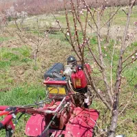 کار با تیلر ۷