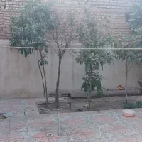 مشارکت ساخت بامجوز ام 4