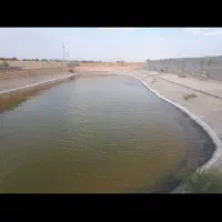 باغ ۲۳۰۰متر، دامداری پروانه‌دار، مناسب ویلا|فروش دفتر صنعتی، کشاورزی، تجاری|خوسف, |دیوار