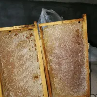 عسل چهل گیاه
