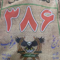 برنج پاکستانی A