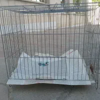 قفس متوسط و بزرگ ۲ عدد