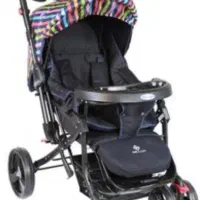 کالسکه دلیجان