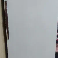 فریزر پارس سالم