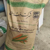 انواع بذر ذرت علوفه ای و مکزیکی و سبزیجات