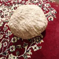 فسیل|کلکسیون اشیاء عتیقه|مهربان, |دیوار