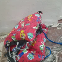 روروئک  و تاب|کالسکه و لوازم جانبی|خرم‌آباد, |دیوار