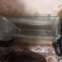 شیشه آکواریوم