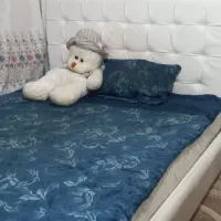 تخت دونفره کاملا سالم