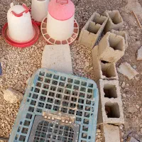فروشی
