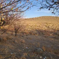 ۱۵ قصب زمین فروشی در حوزه سربیژن ساردو|فروش زمین و ملک کلنگی|درب بهشت, |دیوار