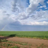 زمین کشاورزی