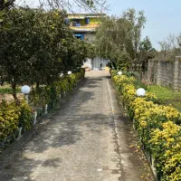 ویلا باغ سلطنتی سند تک برک|فروش خانه و ویلا|پره‌سر, |دیوار