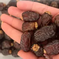 خرمای اجیلی لوکس