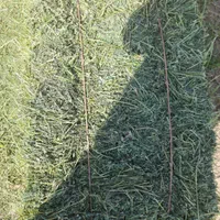 خار، کاه، پرس|لوازم جانبی حیوانات|مشهد, شهرک شهید باهنر|دیوار