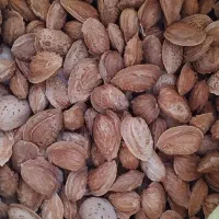 بادام پوست کاغذی اجیلی