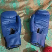 دستکش چرم اصل و  دستکش بوکس|تجهیزات ورزشی|تهران, پاسداران|دیوار