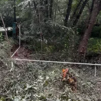 لوله کشی گاز|خدمات پیشه و مهارت|نوشهر, |دیوار