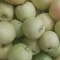 سیب طالقان
