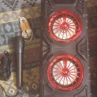 اسپیکر و بلندگو|پخش‌کننده همراه|سیرجان, |دیوار