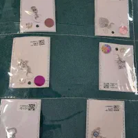 گوشواره نقره و پلاک نقره