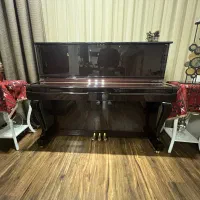 پیانو آکوستیک  کارل اشتنبرگ