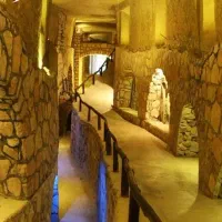 فلایت گشت|تور و چارتر|شاهین‌شهر, شهرک سایت|دیوار