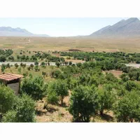 باغ میوه زیر قیمت با اقساط وزمین رایگان|فروش زمین و ملک کلنگی|خمین, |دیوار