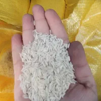 برنج طارم محلی و لاشه طارم هاشمی