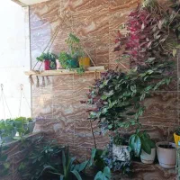 تجاری زیرزمین مناسب باشگاه بدنسازی بر خیابان اصلی