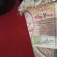 فرش در حد نو