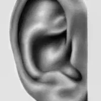 سفارش سیاه قلم|تابلو، نقاشی، عکس|دوگنبدان, |دیوار