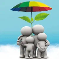 فرصت ویژه همکاری برای بانوان